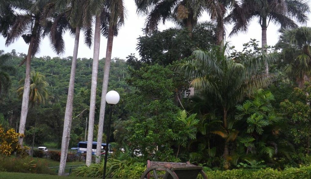 Horizontes Rancho San Vicente Hotel Vinales Exterior photo